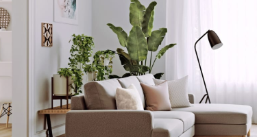 A New Way To Live At Home